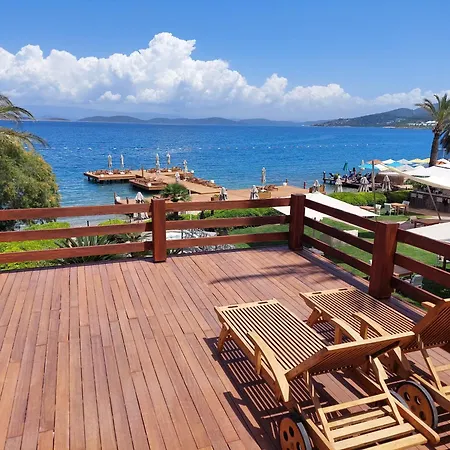 Hotel Casa Dell'arte The Torba