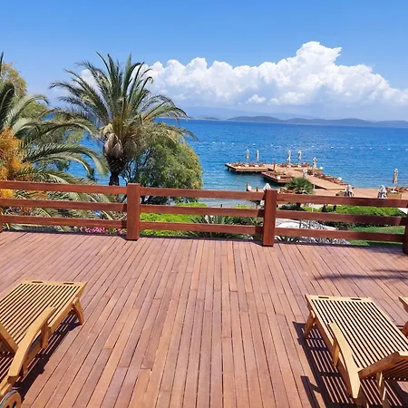 Hotel Casa Dell'arte The 5*