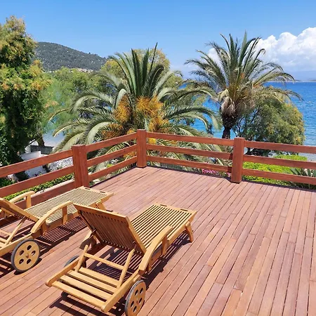 Casa Dell'arte Of Arts & Leisure Torba