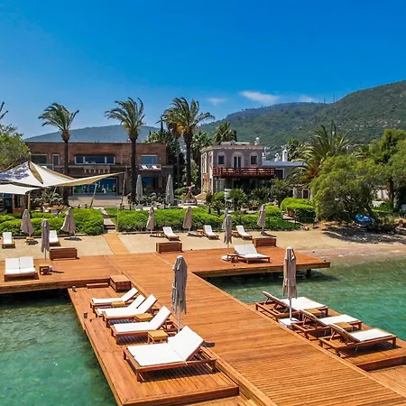 Casa Dell'arte The Hotel 5*