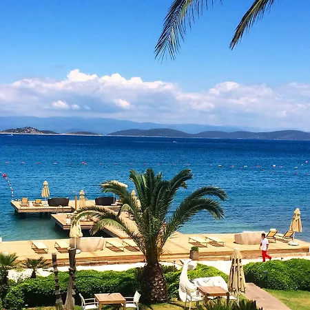 Hotel Casa Dell'arte Of Arts & Leisure 5*