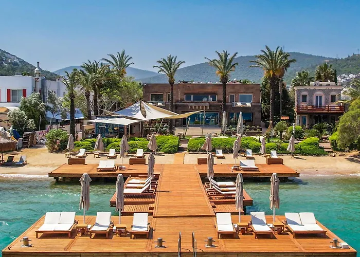 Hotel Casa Dell'arte Of Arts & Leisure